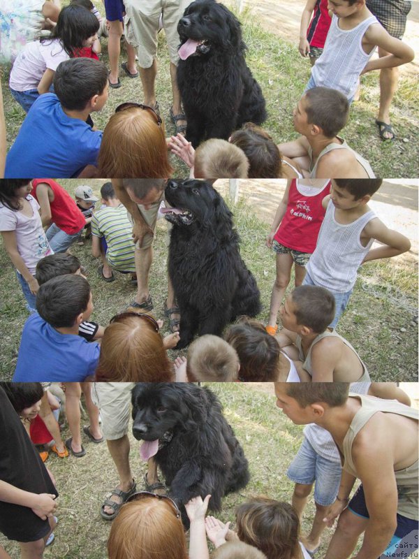 Фотография № 185487