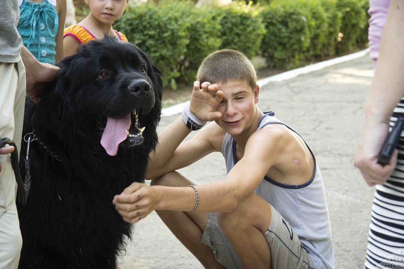 Фотография № 185490