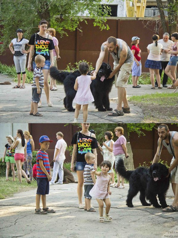 Фотография № 185492