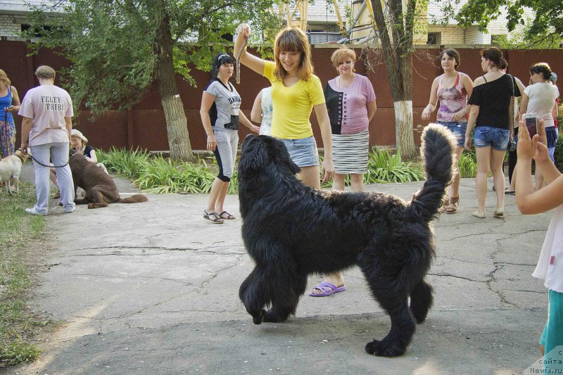 Фотография № 185493