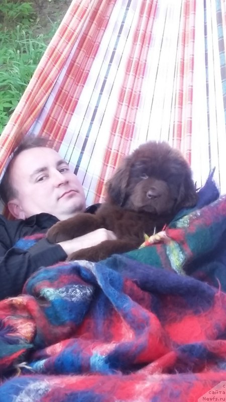 Фотография № 185495