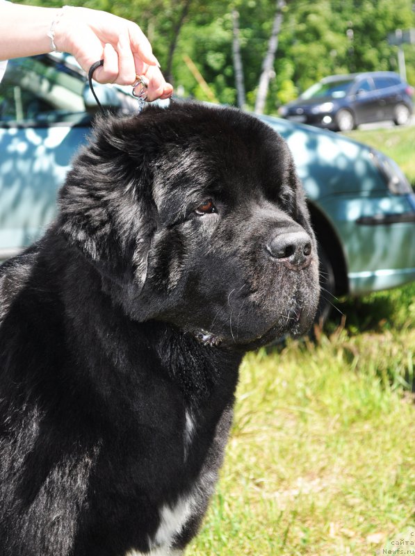 Фотография № 185515