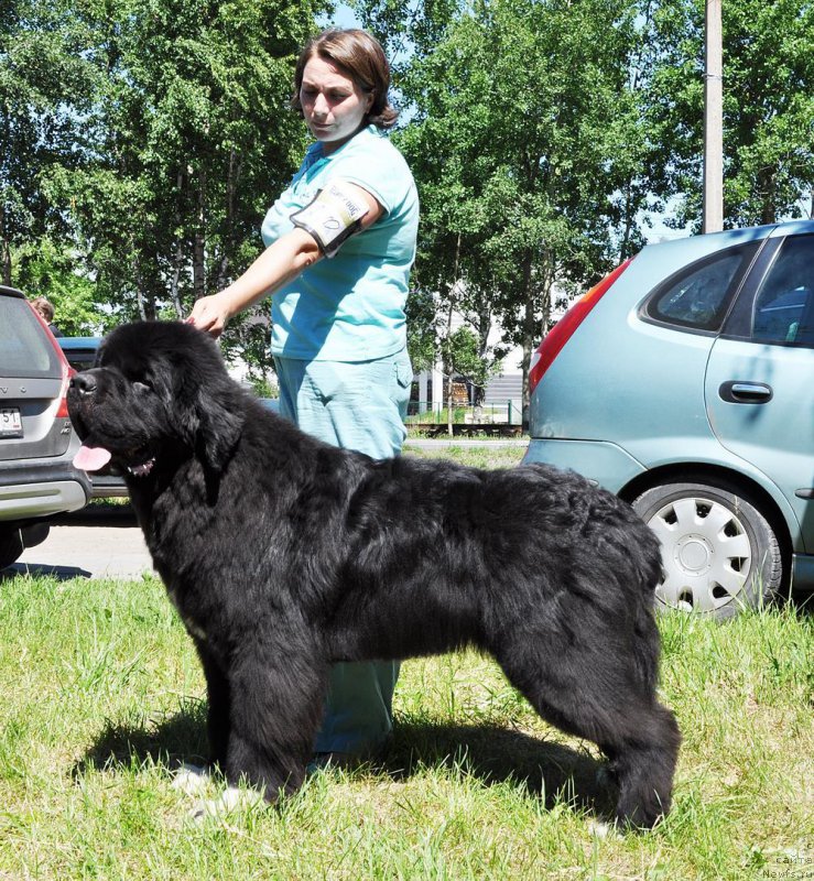 Фотография № 185535