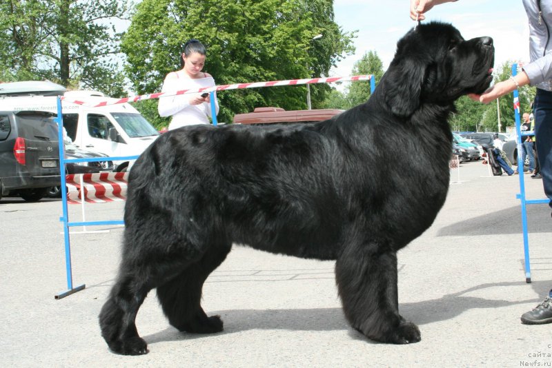 Фотография № 185542