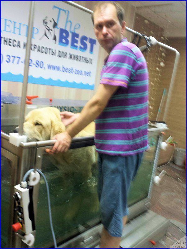 Фото: Лена Зырина, ФРАНКО