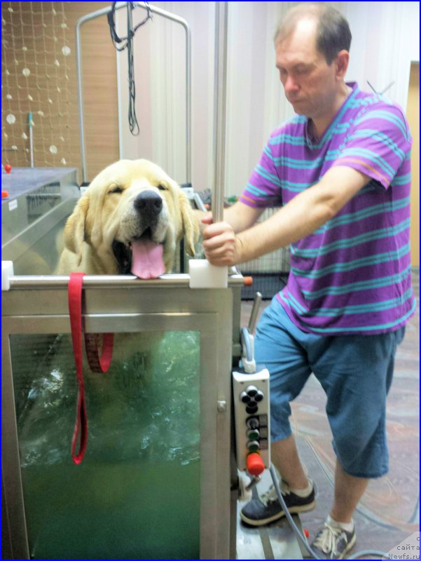 Фото: Лена Зырина, ФРАНКО