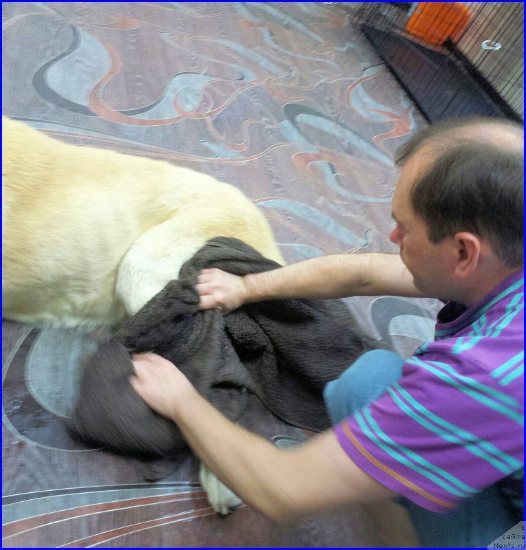 Фотография № 185559