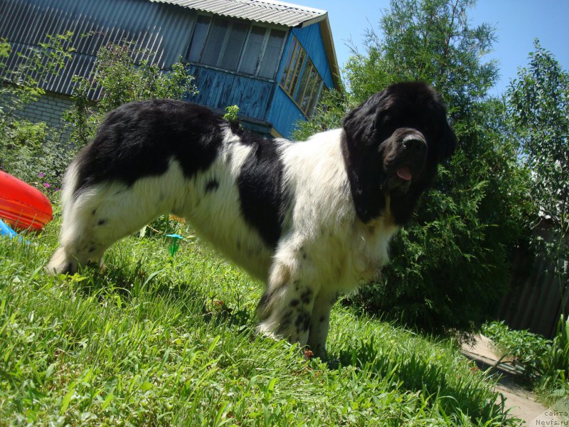 Фотография № 185567