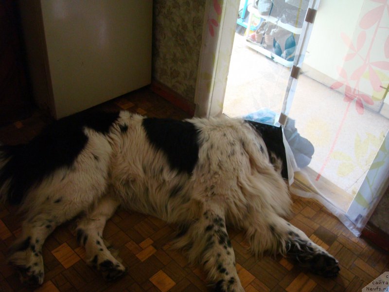 Фотография № 185571