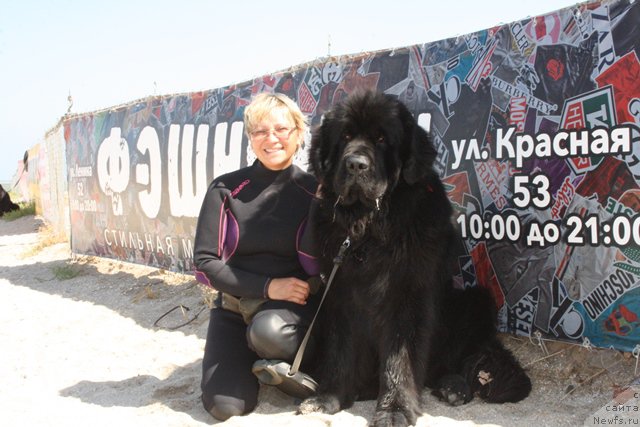 Фотография № 185583