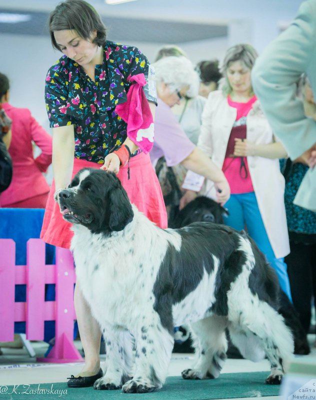 Фотография № 185592