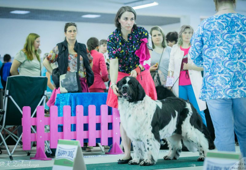 Фотография № 185593