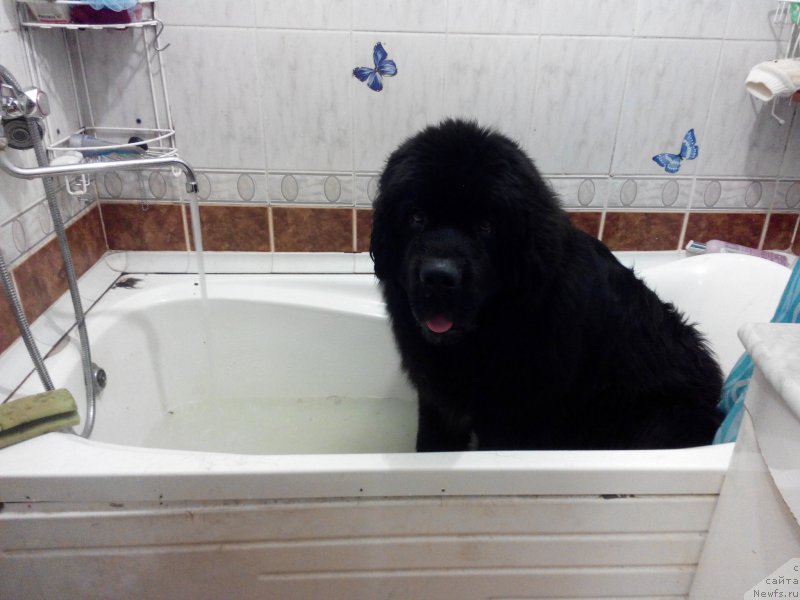 Фотография № 185614