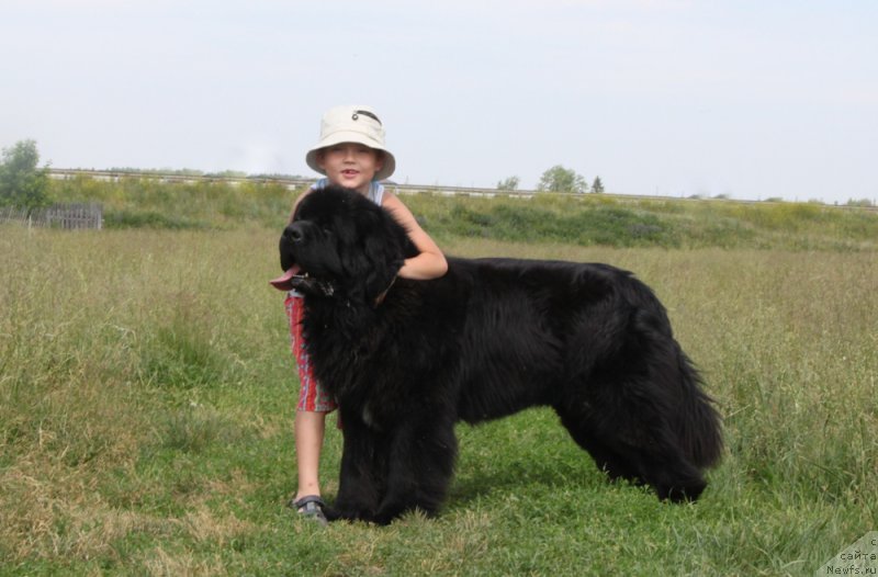 Фотография № 185615