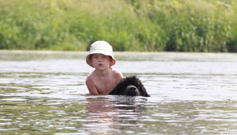 Фотография № 185617