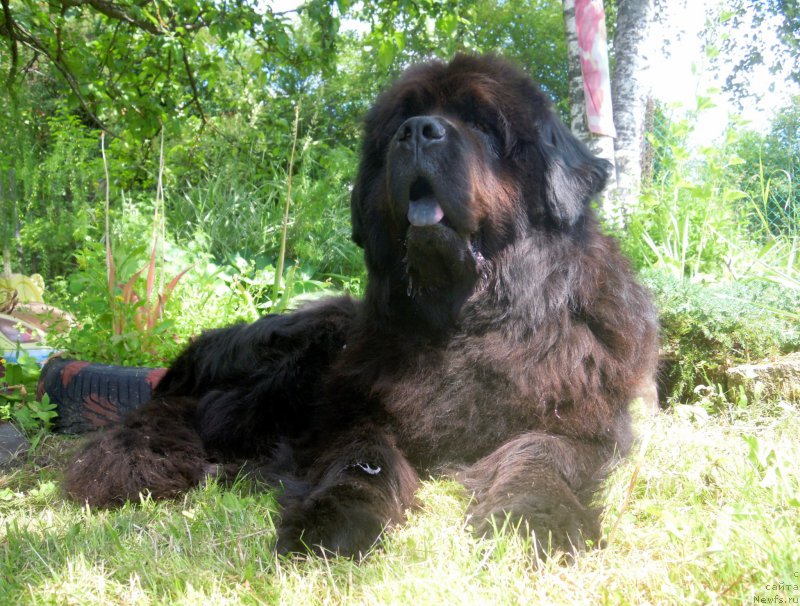 Фотография № 185620