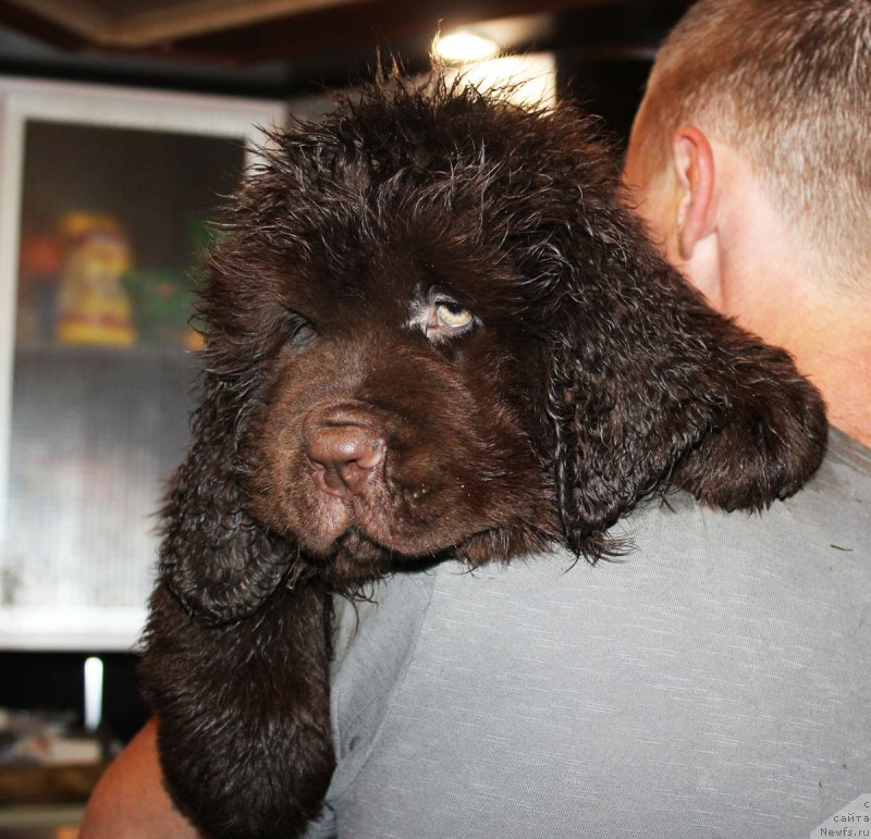 Фотография № 185629