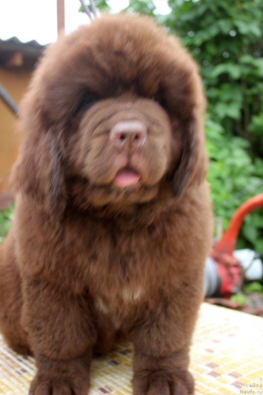 Фотография № 185631