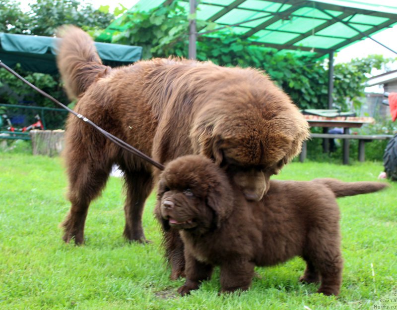 Фотография № 185635