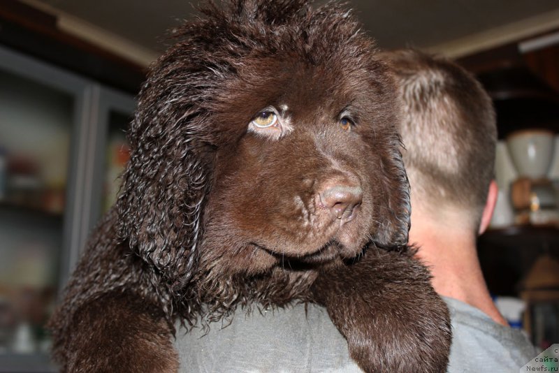 Фотография № 185636