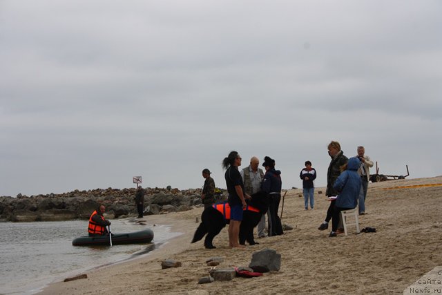 Фотография № 185659