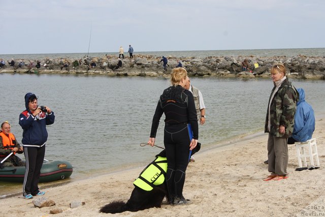 Фотография № 185662