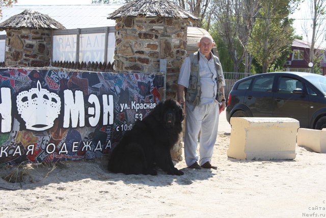 Фотография № 185663