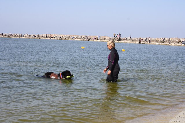 Фотография № 185678