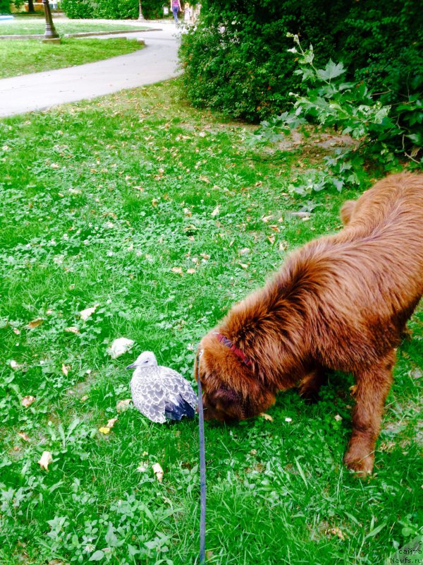 Фотография № 185719