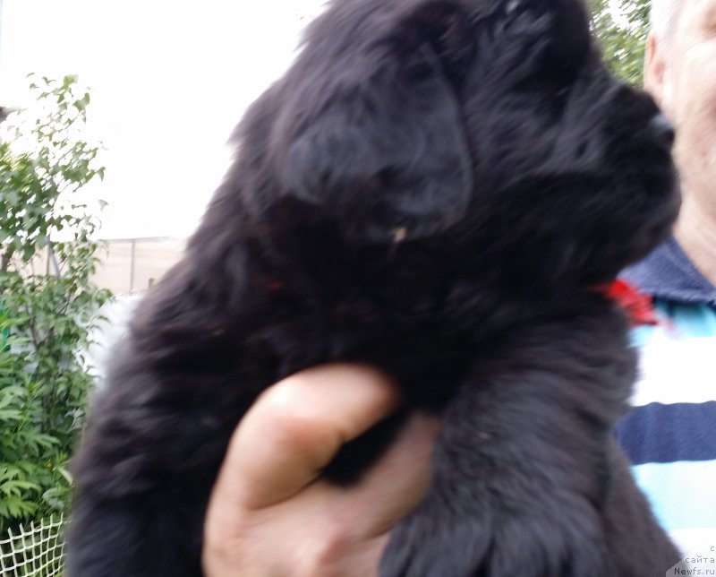 Фото: Дети Джаза и Туси