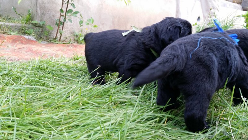 Фото: Дети Джаза и Туси