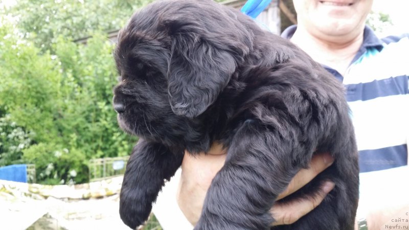 Фото: Дети Джаза и Туси