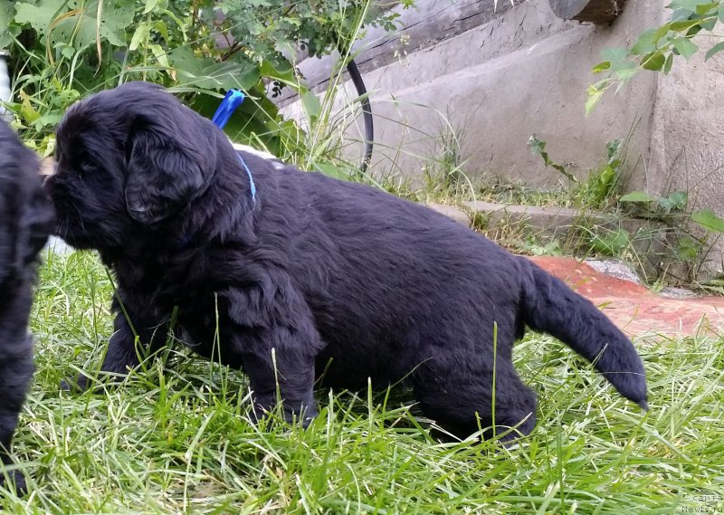 Фото: Дети Джаза и ТУси