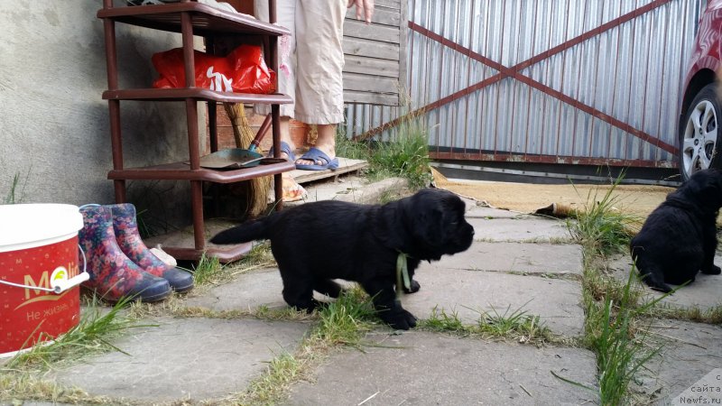 Фото: Дети Джаза и Туси