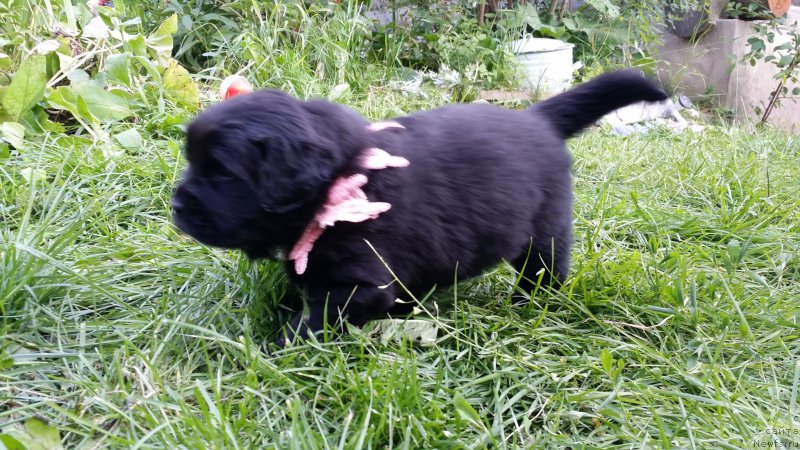 Фото: Дети Джаза и Туси