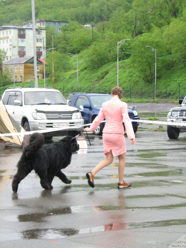 Фотография № 185770