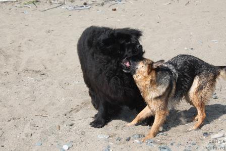 Фотография № 185778