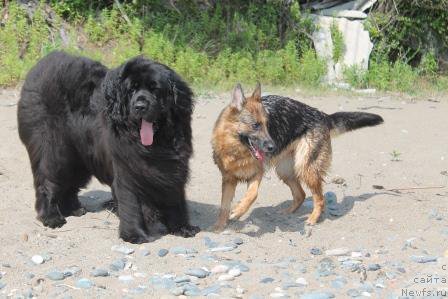 Фотография № 185779