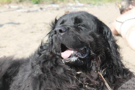 Фотография № 185782