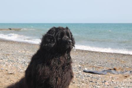 Фотография № 185785