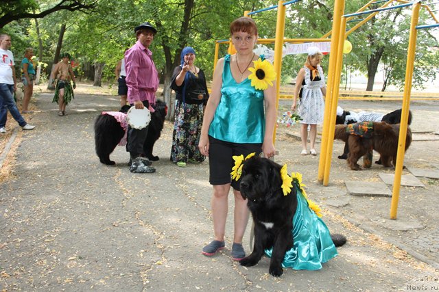 Фотография № 185788