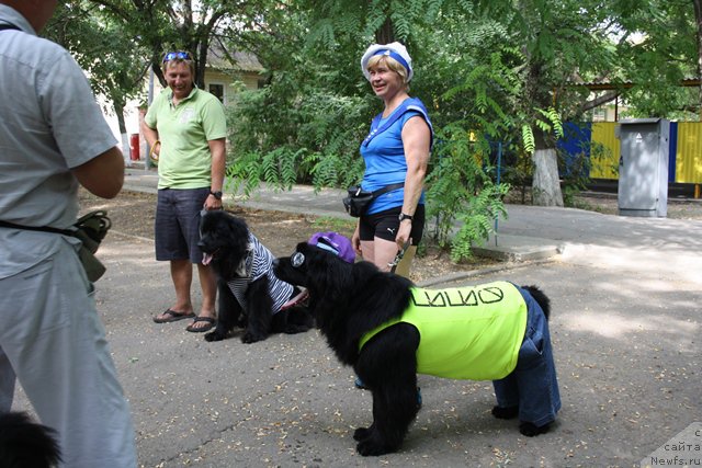 Фотография № 185789