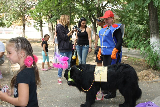 Фотография № 185791