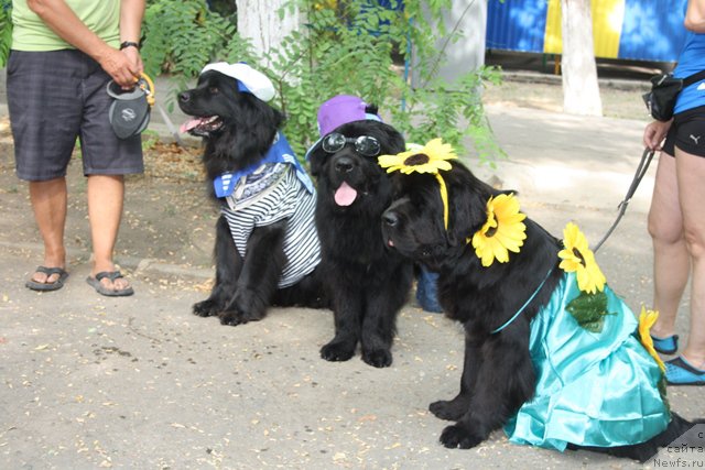 Фотография № 185793