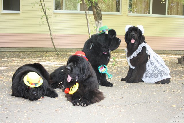 Фотография № 185796