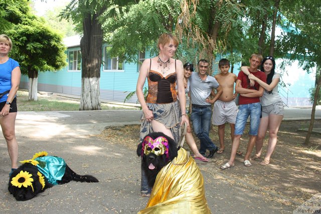 Фотография № 185797