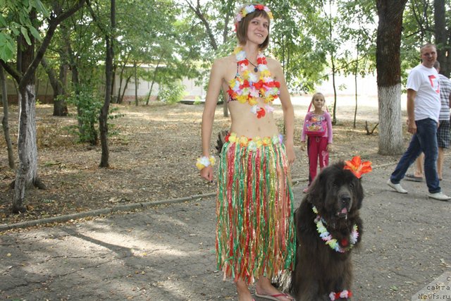 Фотография № 185799