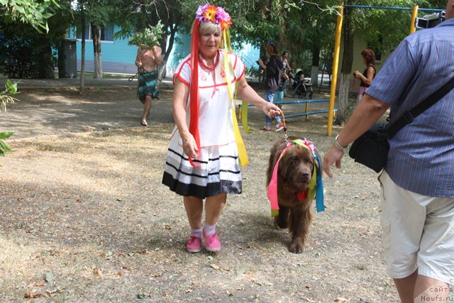 Фотография № 185800