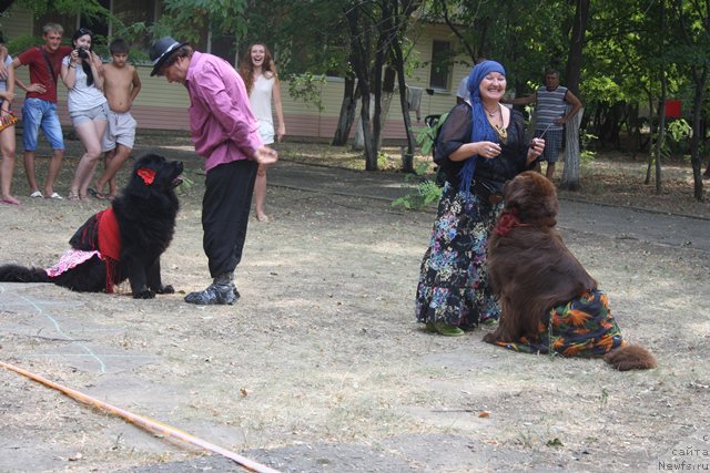 Фотография № 185802