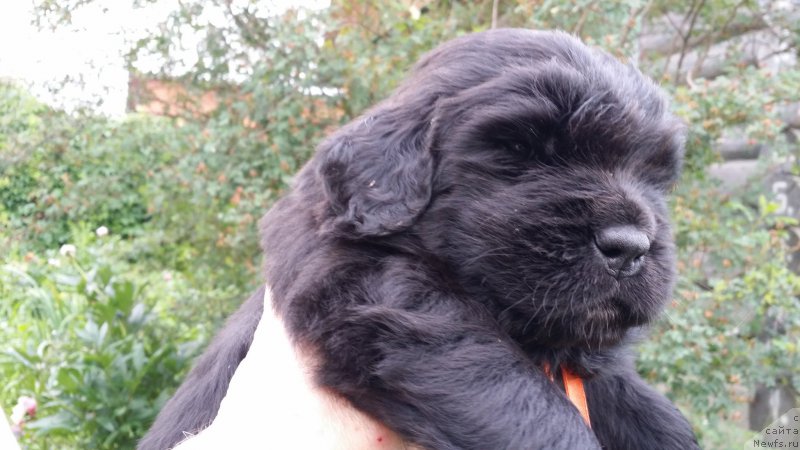 Фото: Дети Джаза и Туси